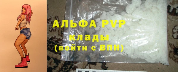 СК Алексин