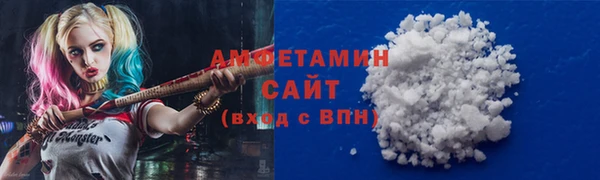 СК Алексин
