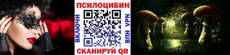 omg сайт Игарка darknet как зайти Галлюциногенные грибы MAGIC MUSHROOMS